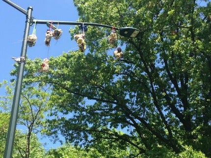 The Lamppost Weavers