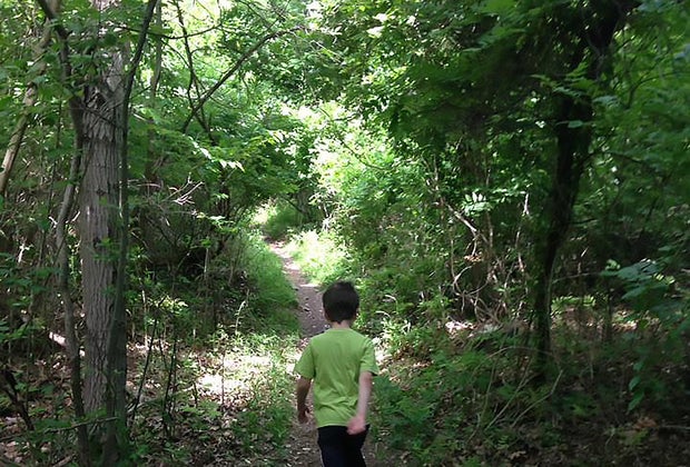 There are 12 miles of hiking trails in La Tourette Park
