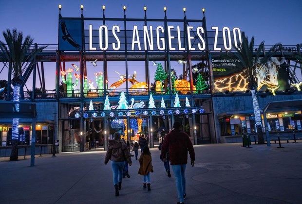New Year's Day in Los Angeles: Fun Things To Do with Kids: LA Zoo