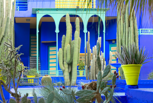 Marrakesh with Kids: Jardin Majorelle