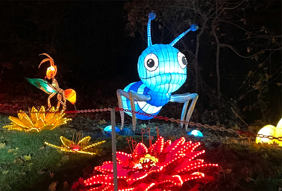 Delight in the illuminated bugs scattered throughout the attraction.