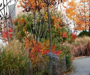 Head to Brooklyn Bridge Park to see vibrant fall colors and hit the playgrounds.