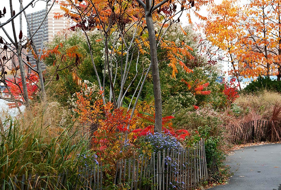 Head to Brooklyn Bridge Park to see vibrant fall colors and hit the playgrounds.
