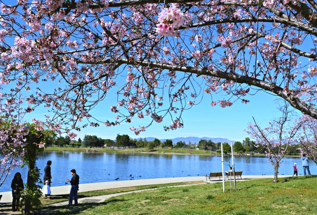 Free Things To Do in Los Angeles: Lake Balboa