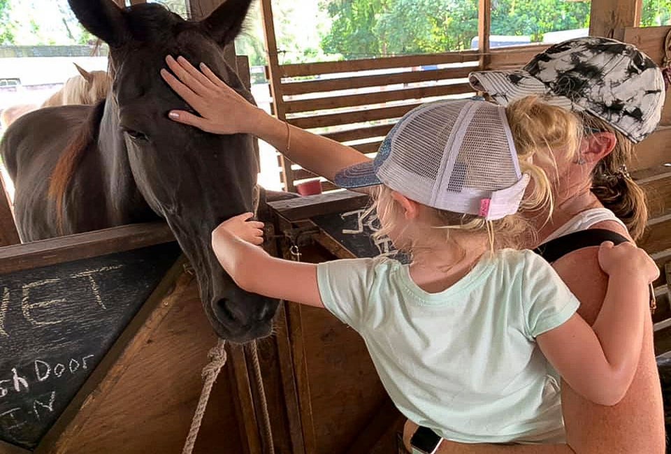 Meet the horses and enjoy a free ride at Happi Farm in Davie. Photo courtesy of the farm