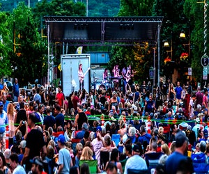 Summer Soiree Free Summer Concerts. Photo courtesy of the Lemont Park District