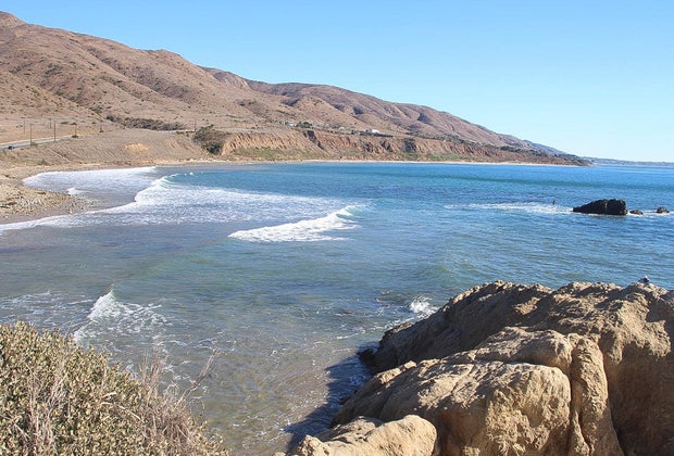 Dog-Friendly Beaches Near Los Angeles: Leo Carrillo Beach
