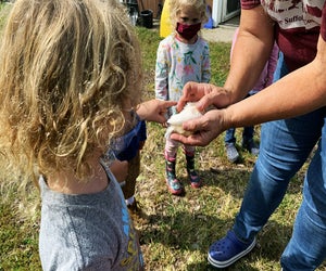 Meet farm friends at Little Farmer's Summer Fun. Photo courtesy of the camp