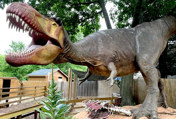 Long Island Best Museums Center for Science, Teaching and Learning