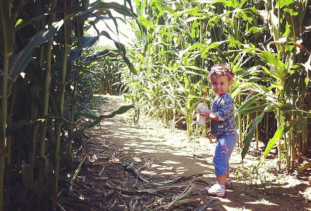 Corn maze near Long Island Lewin Farms
