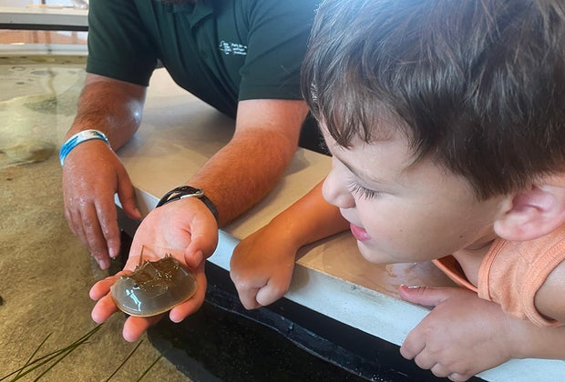 Visiting the Jones Beach Nature Center with Kids: Everything You Need to Know