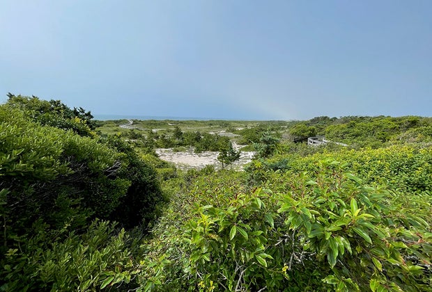 Fire Island with kids Sunken Forest