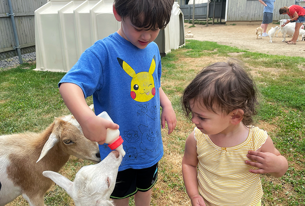 Best things to do on Long Island this summer: Animal Farm and Petting Zoo Park in Manorville.