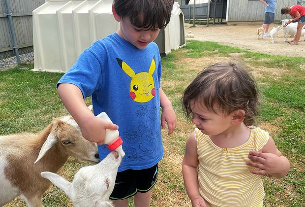Best things to do on Long Island this summer: Animal Farm and Petting Zoo Park in Manorville.