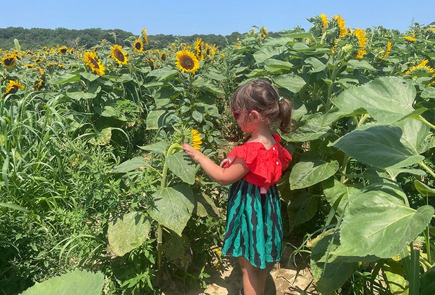 Things to do on Long Island this summer: Waterdrinker Family Farm.