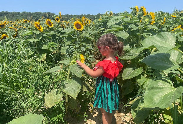 Things to do on Long Island this summer: Waterdrinker Family Farm.