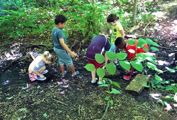 Tanglewood Preserve. 15 Things To Do in Rockville Centre with Kids