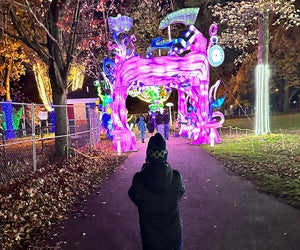 Check out the light displays at LuminoCity in Eisenhower Park. Photo courtesy of the the LuminoCity