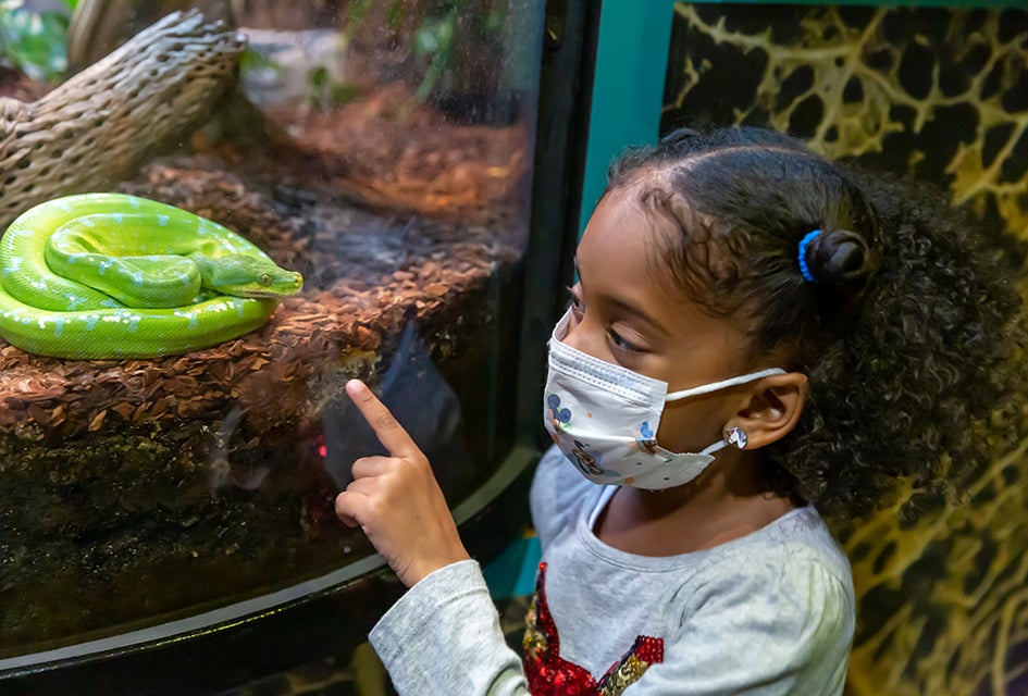 Bring your preschoolers to the Liberty Science Center every Thursday and Friday for Junior Days. Photo courtesy of LSC