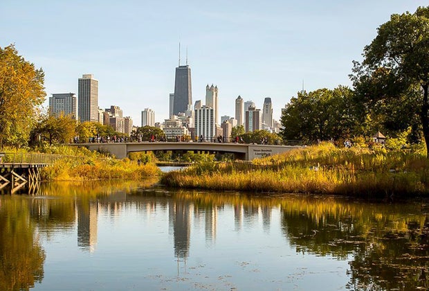 Best Fall Day Trips Chicago Lincoln Park Zoo Lagoon