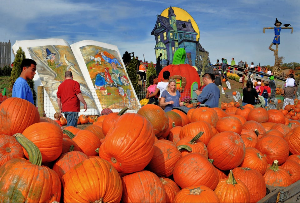 Pumpkinland at Linvilla Orchards. Photo by R.Kennedy for Visit Philadelphia