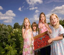 Photo courtesy of Linvilla Orchards