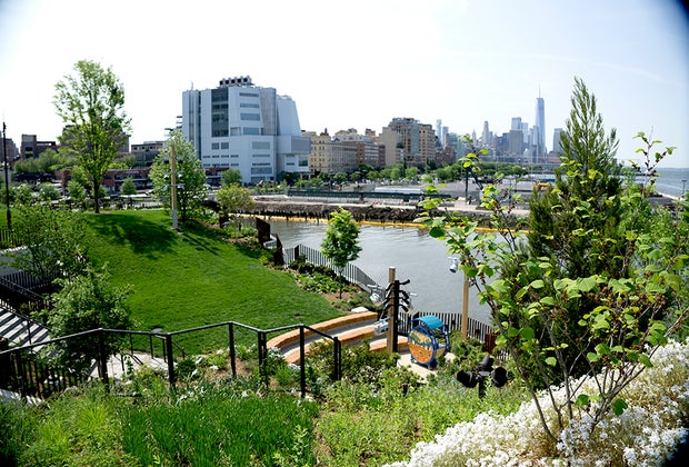 The Glade is Little Island's family-friendly programming space