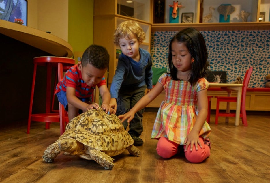 Get up close to the wildlife at the Academy of Natural Sciences at Drexel University