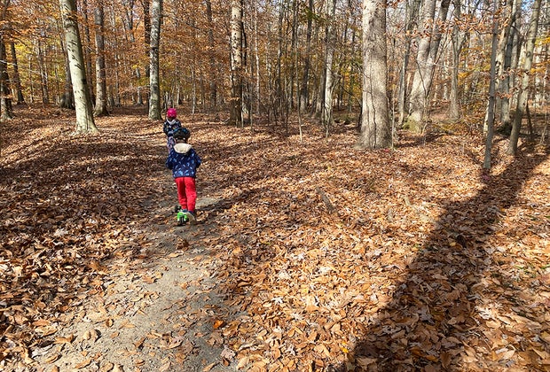 Morristown, NJ with kids: Loantaka Brook Reservation