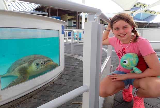 Loggerhead Marinelife Center sea turtle aquariums Palm Beach Nature Centers 