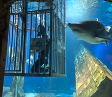 Animal encounters are easily one of the most fun and memorable parts of visiting the Long Island Aquarium.