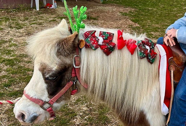 Visiting Santa's Christmas Tree Farm: Hop on a pony for a ride