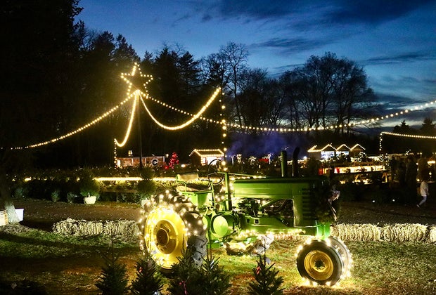 Visiting Santa's Christmas Tree Farm: Christmas lights at Santa's Christmas Tree Farm