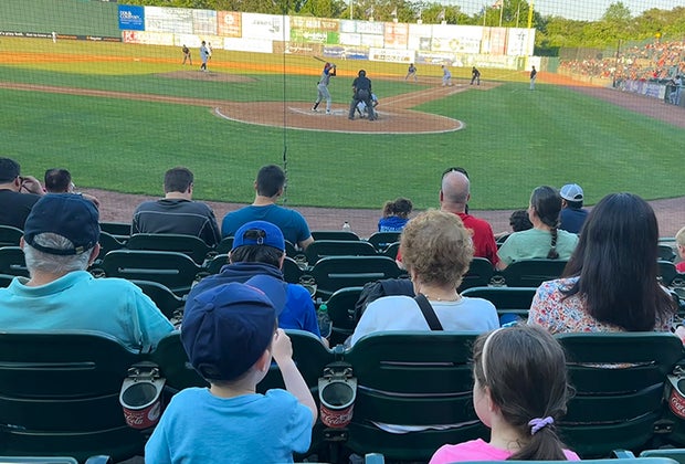 Catch a Long Island Ducks Game: view of the field