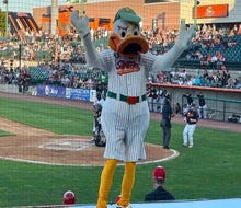 QuackerJack brings tons of fun and entertainment to the crowd at a Long Island Ducks game. 