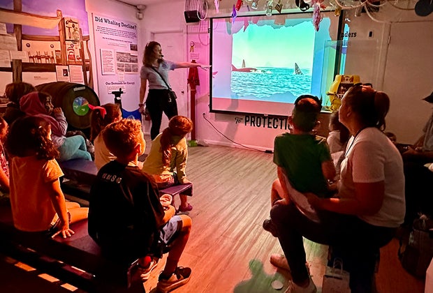 Whaling Museum's "Monsters & Mermaids" Exhibit