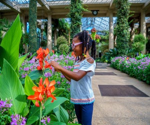 Enjoy an outdoor outing with a trip to Longwood Gardens. Photo by J. Fusco for Visit Philadelphia