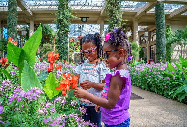 Longwood Gardens: Pennsylvania Bucket List: 100 Things To Do With Kids in PA