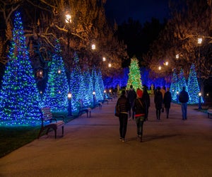 Longwood Christmas. Photo by Duane Erdmann