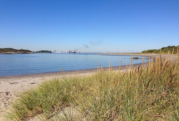 7 Hidden Gem Beaches for Families near Boston: Lovells Island