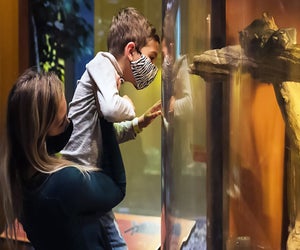 Liberty Science Center celebrates kids ages 6 and under with its twice a week junior days. Photo courtesy of LSC