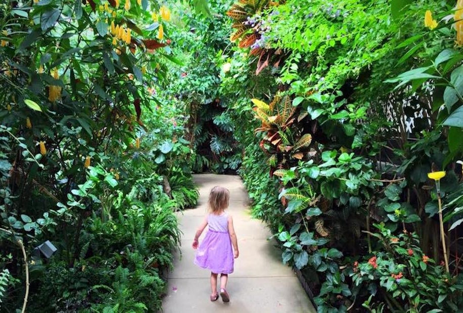 Are we in the tropics? It's warm and inviting at the Magic Wings Butterfly Conservatory in Massachusetts. Photo courtesy of Katie Wadland