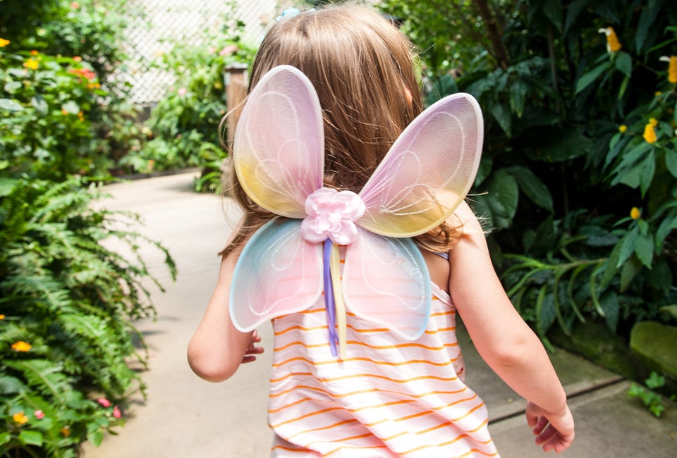 Visit Magic Wings Butterfly Conservatory in South Deerfield for a magical experience in Greater Boston!