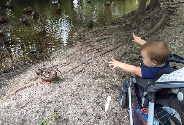 Things to do in Massapequa with kids: Massapequa Preserve