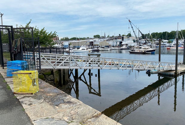A wide view of the harbor at the marine education center