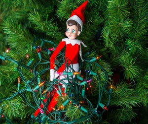 Uh-oh! The elf tangled up your tree lights! Photo by Mark Baylor, courtesy of Flickr (CC BY-NC-ND 2.0)