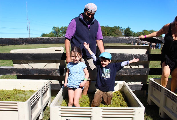 Family-Friendly Wineries on Long Island's East End: Kids stomping grapes at RGNY Vineyards
