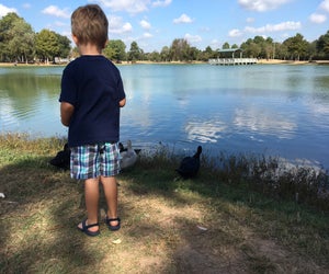 Feeding the ducks at Mary Jo Peckham Park