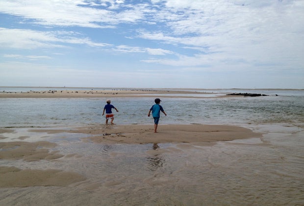 Image of kids tidal pool at Cape Cod beaches for families.
