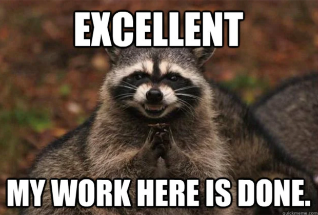 raccoon meme